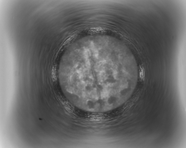 X0000103430819200810031349