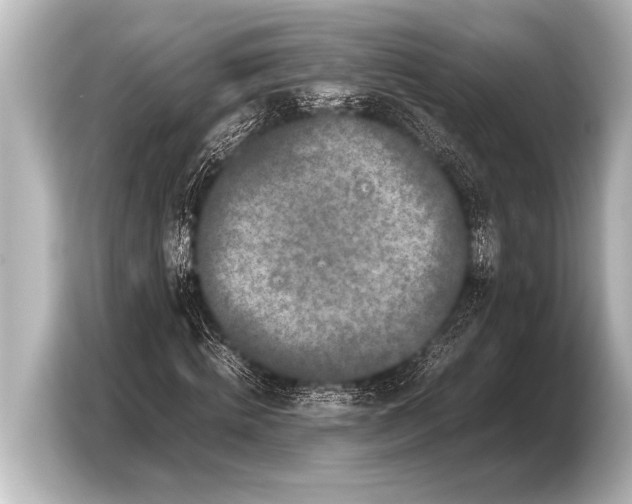 X0000103430820200810031349