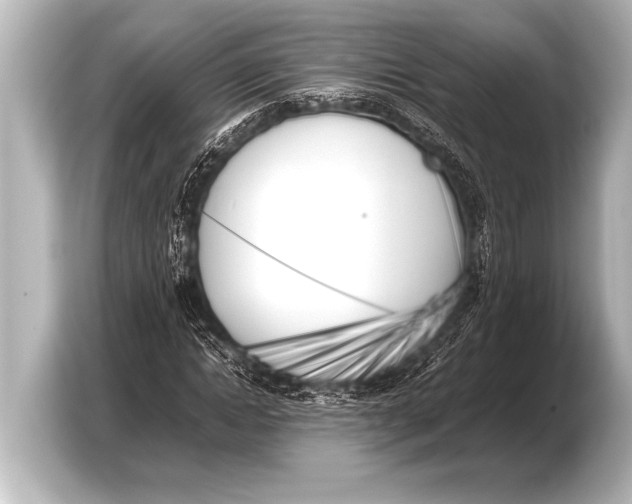 X0000103430822200810031349