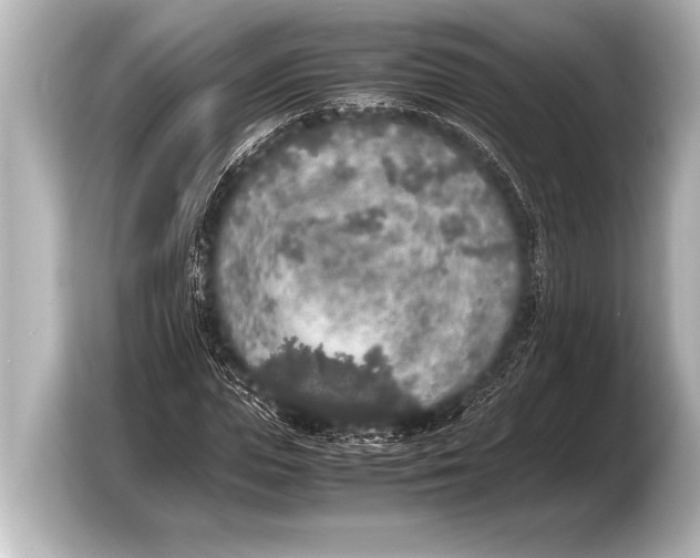 X0000103430823200810031349