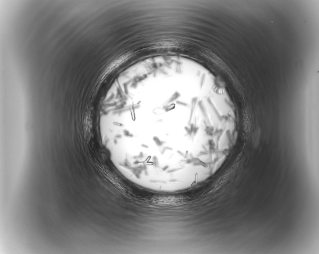 X0000103430826200810031349