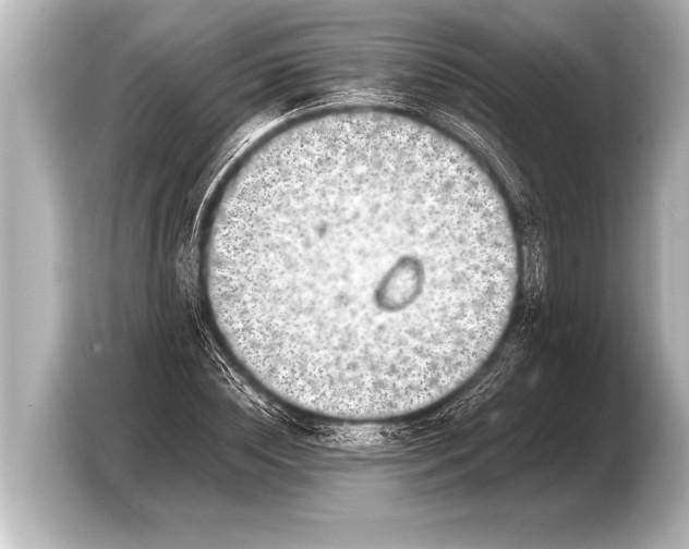 X0000103430828200810031349