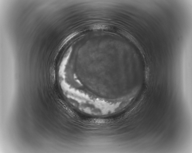 X0000103430829200810031349