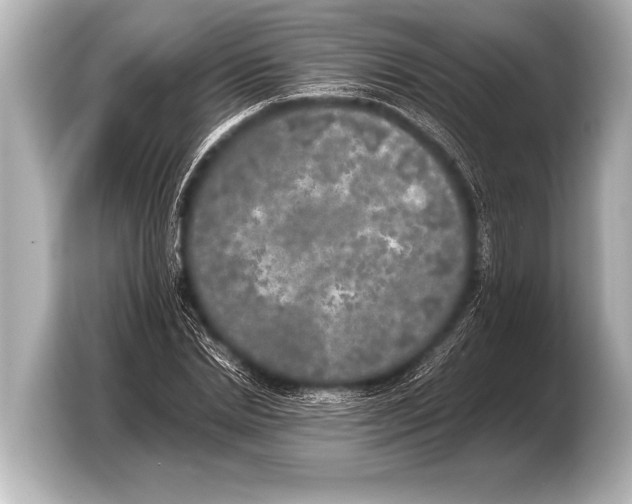 X0000103430830200810031349