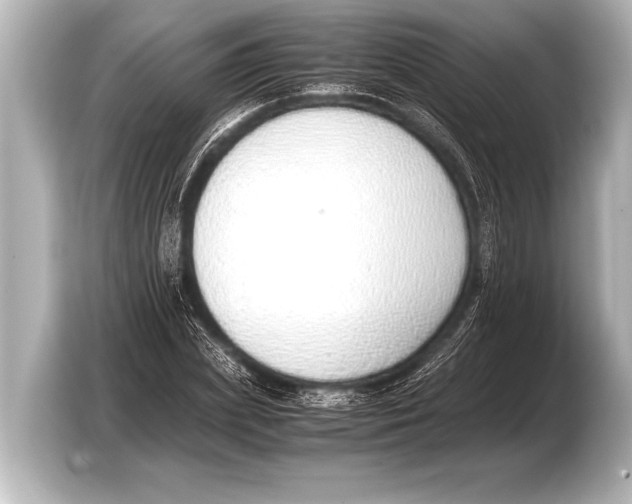 X0000103430831200810031349