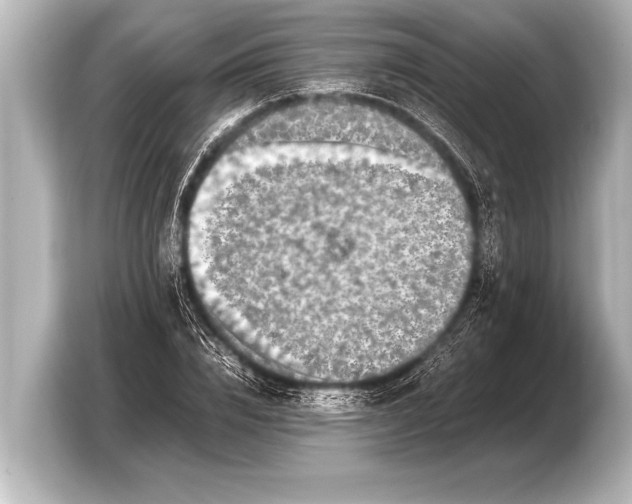 X0000103430832200810031349