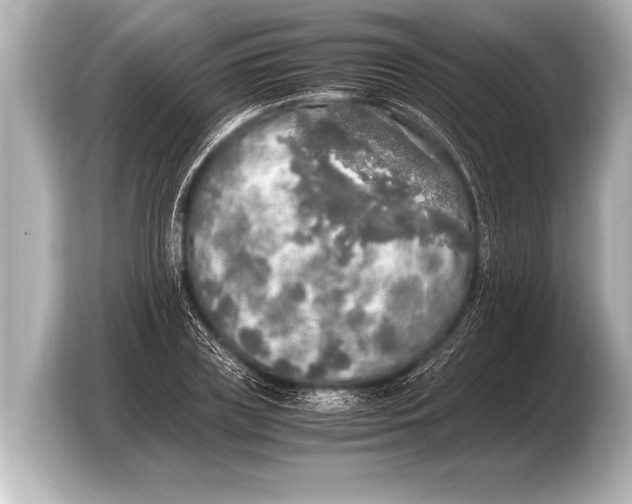 X0000103430835200810031349