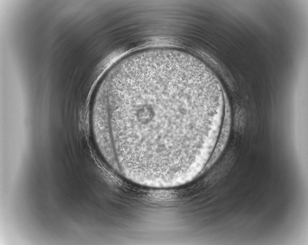 X0000103430836200810031349