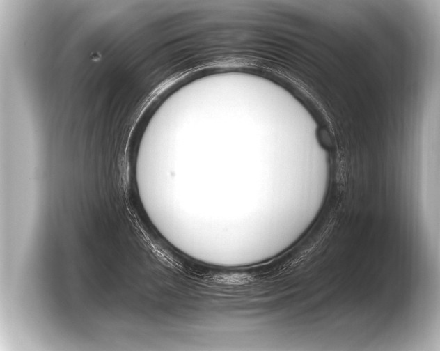 X0000103430837200810031349