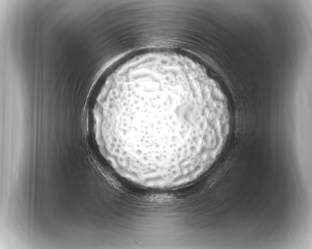 X0000103430838200810031349