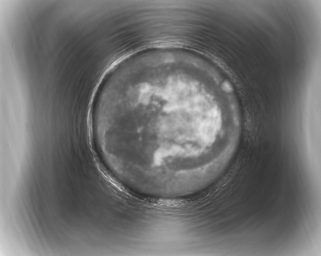 X0000103430840200810031349