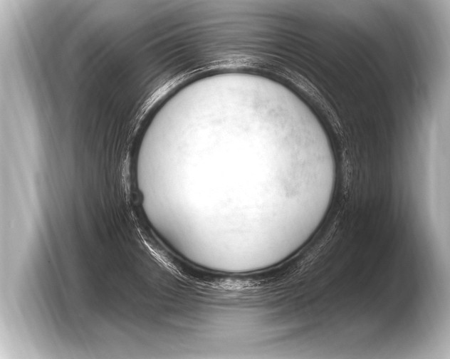 X0000103430842200810031349