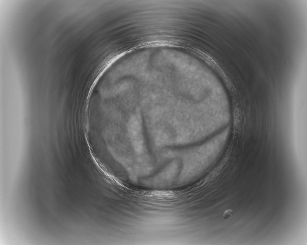 X0000103430844200810031349