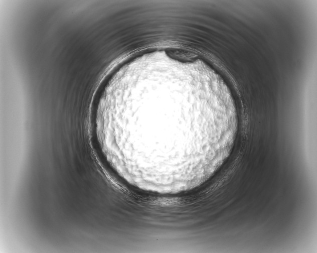 X0000103430845200810031349