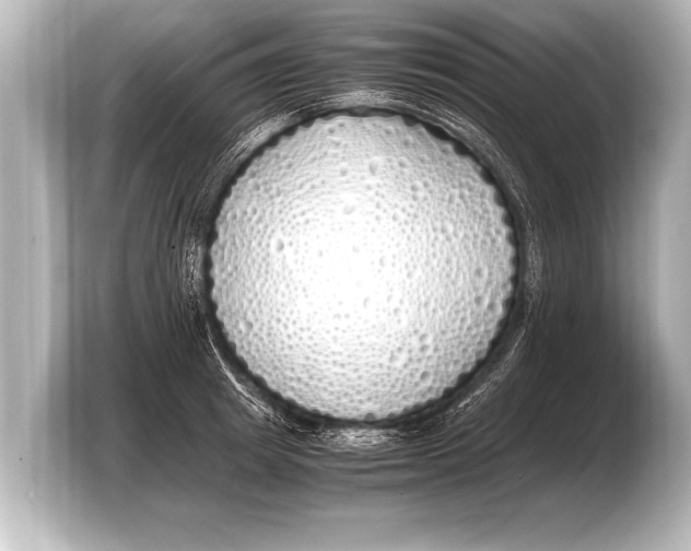 X0000103430849200810031349