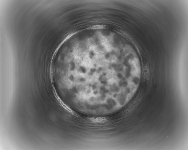 X0000103430851200810031349