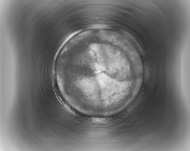 X0000103430852200810031349