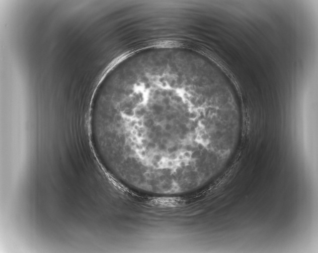 X0000103430853200810031349