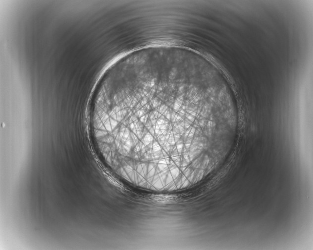 X0000103430854200810031349