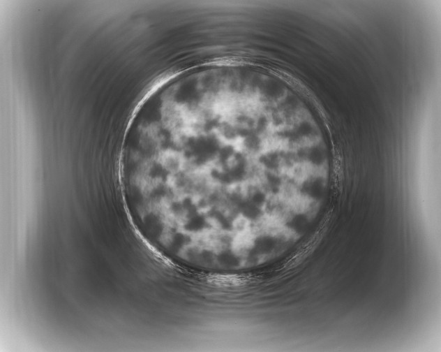 X0000103430855200810031349