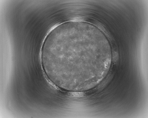 X0000103430856200810031349