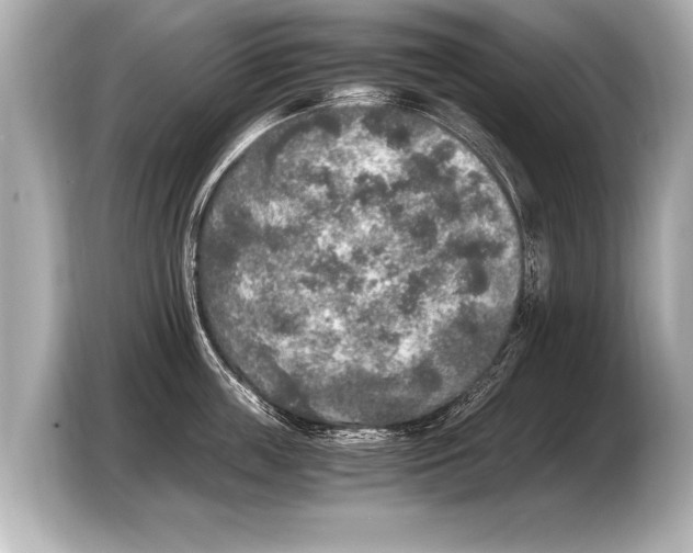 X0000103430859200810031349