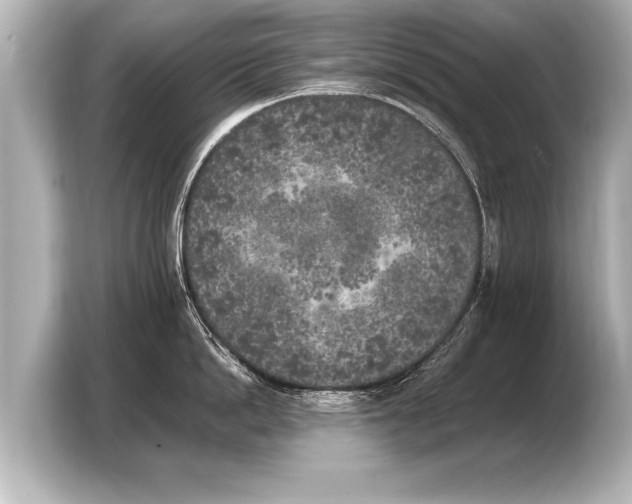 X0000103430862200810031349