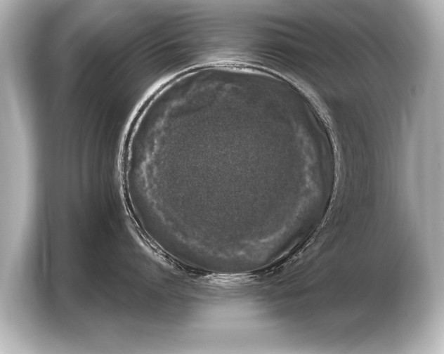 X0000103430864200810031349