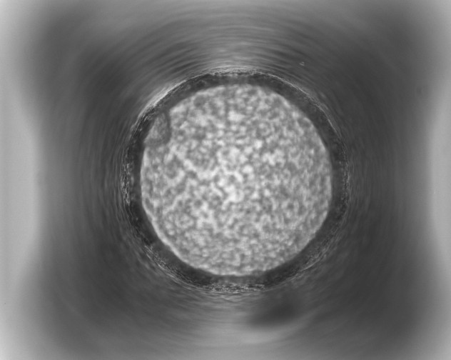 X0000103430871200810031349