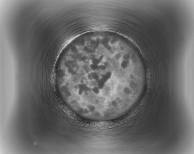 X0000103430879200810031349