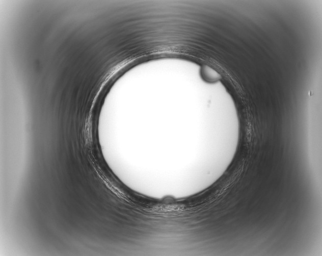 X0000103430884200810031348