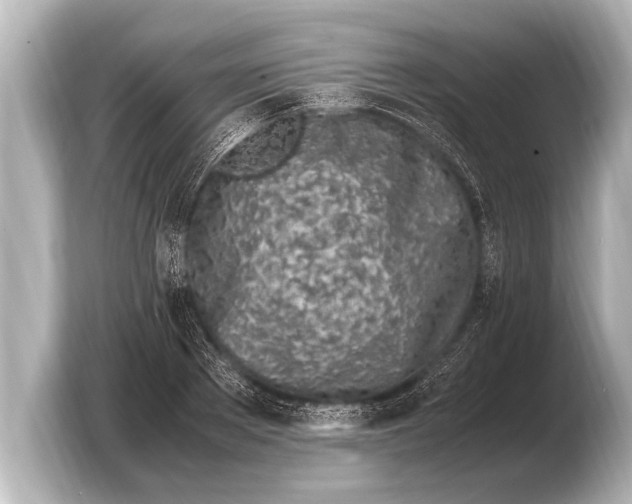 X0000103430889200810031348