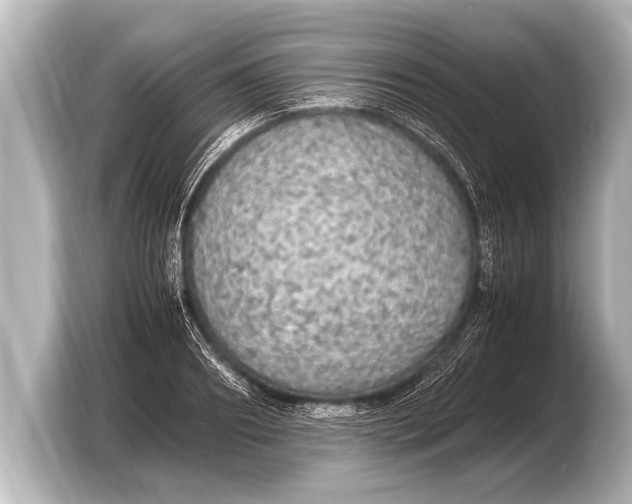 X0000103430890200810031348