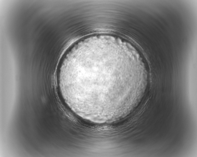 X0000103430891200810031348