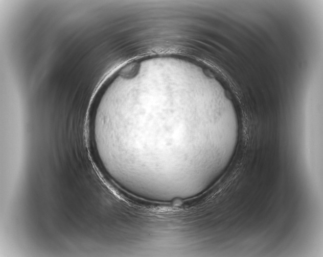 X0000103430894200810031348