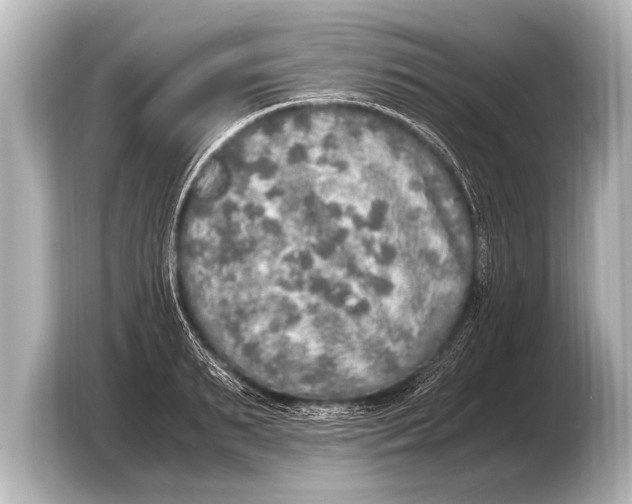 X0000103430895200810031348