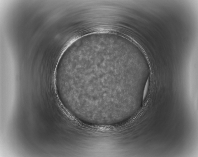 X0000103430899200810031348