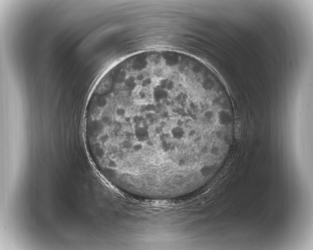 X0000103430903200810031348