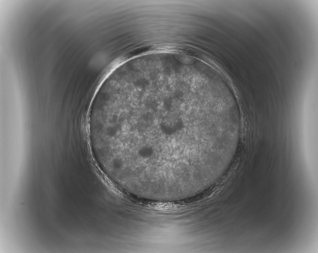 X0000103430907200810031348