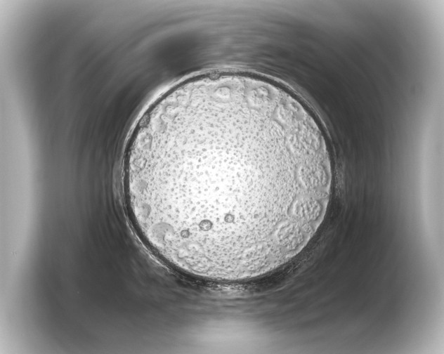 X0000103430911200810031348