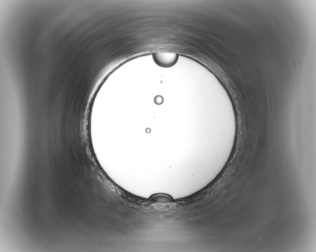 X0000103430912200810031348