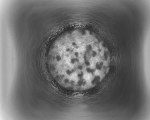 X0000103430913200810031347