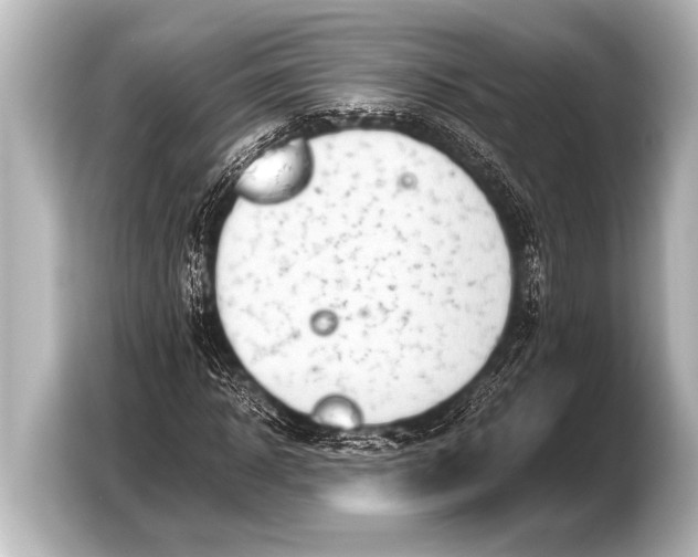 X0000103430918200810031348