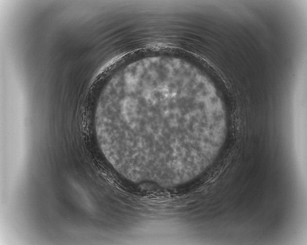 X0000103430919200810031348