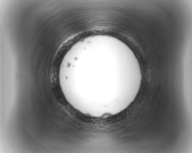 X0000103430920200810031348