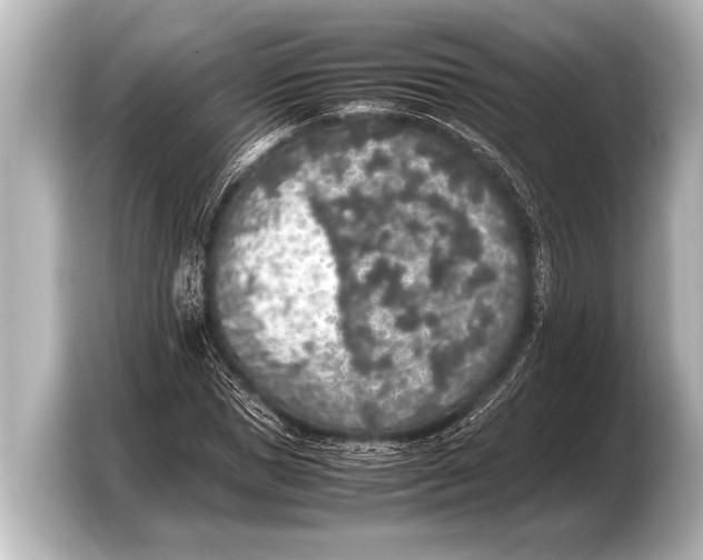 X0000103430921200810031348