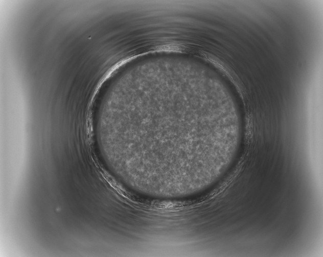 X0000103430923200810031348