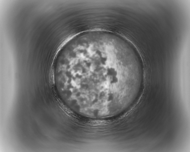 X0000103430925200810031348