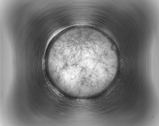 X0000103430928200810031348