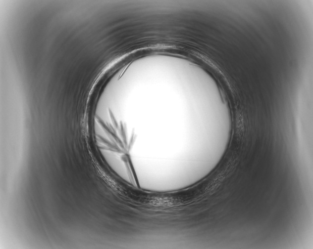 X0000103430935200810031348